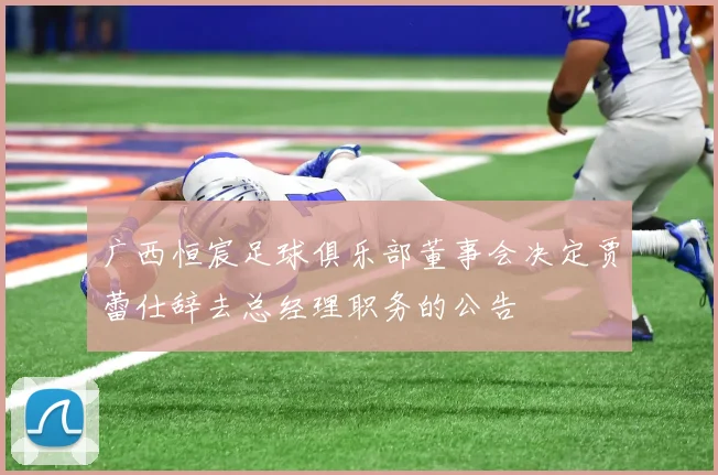 广西恒宸足球俱乐部董事会决定贾蕾仕辞去总经理职务的公告